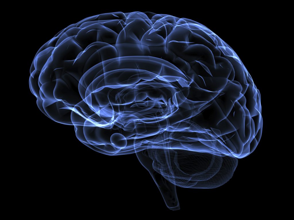 Xray image of a human head brain