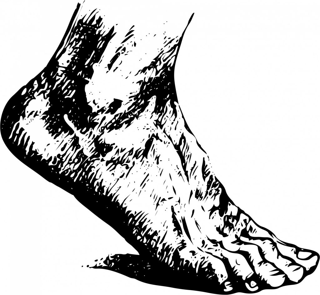 human-foot-1443445545PJ9