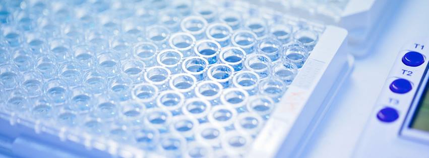 10698633_730127363689294_7800631788215645097_n